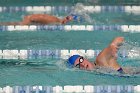 Swimming vs Babson  Wheaton College Swimming vs Babson College. - Photo By: KEITH NORDSTROM : Wheaton, Swimming, Babson